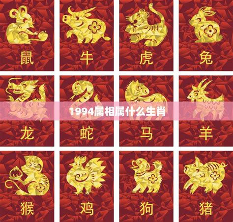 甲戌狗|1994年出生属什么生肖 1994年属狗是什么命